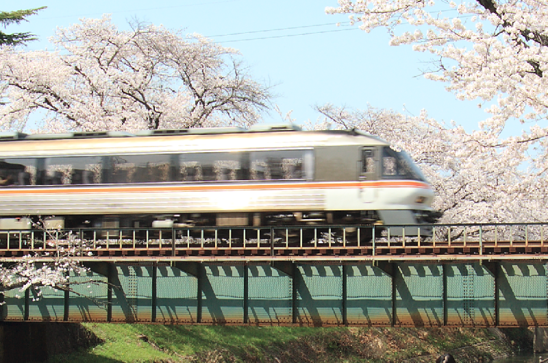 JR高山線と桜