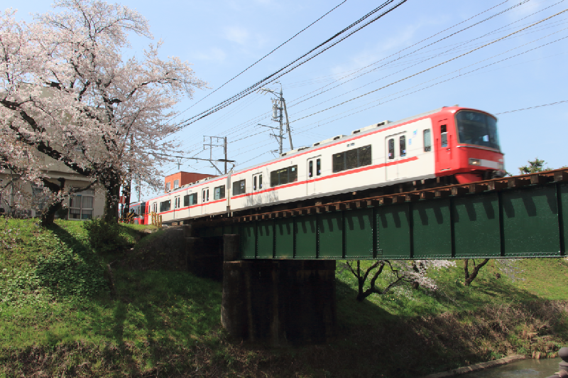 新境川堤の下から電車と桜を撮る
