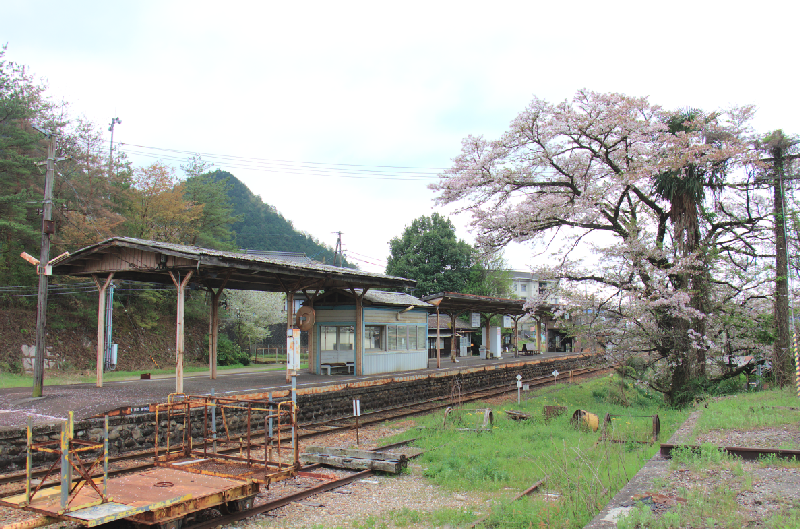 美濃市駅と桜