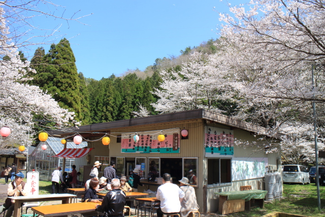 桜と茶屋２