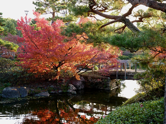 池に映る紅葉と小さな橋