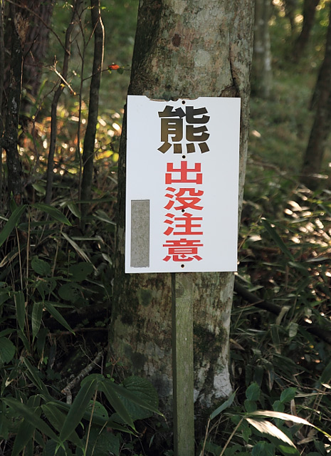 熊出没中の看板