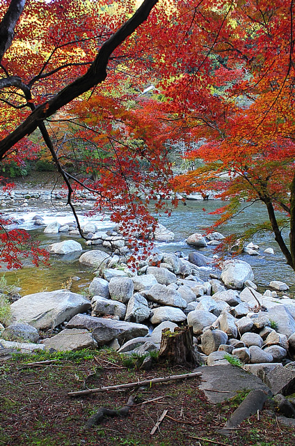 紅葉と渓流