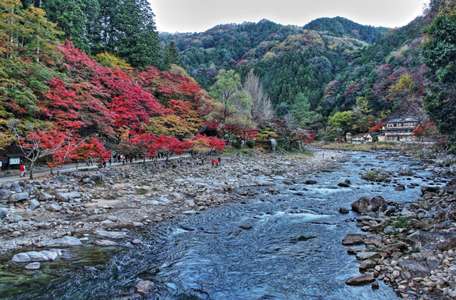 香嵐渓の川