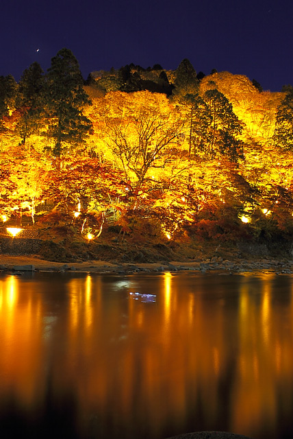 川に映ったライトアップされた楓