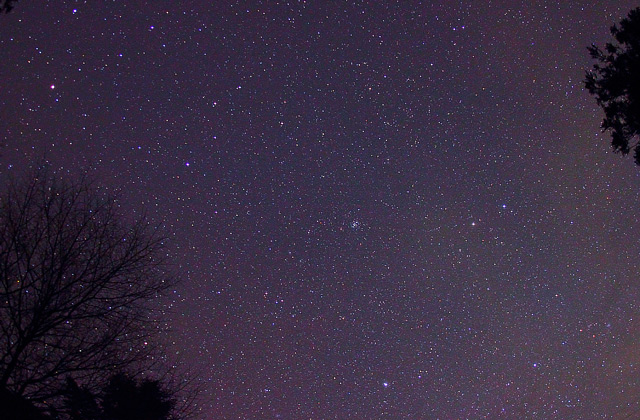 かに座を中心とする春の星座