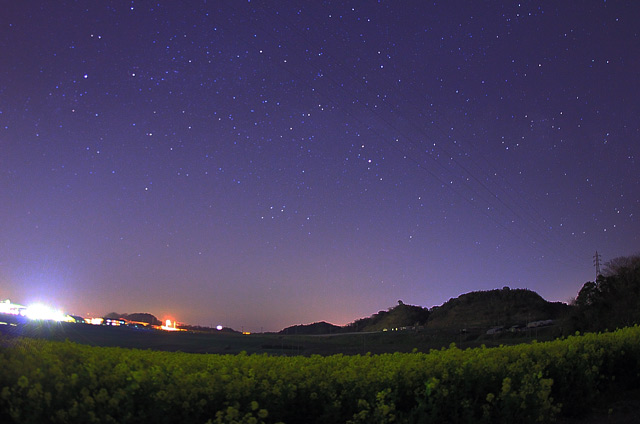 菜の花と星空