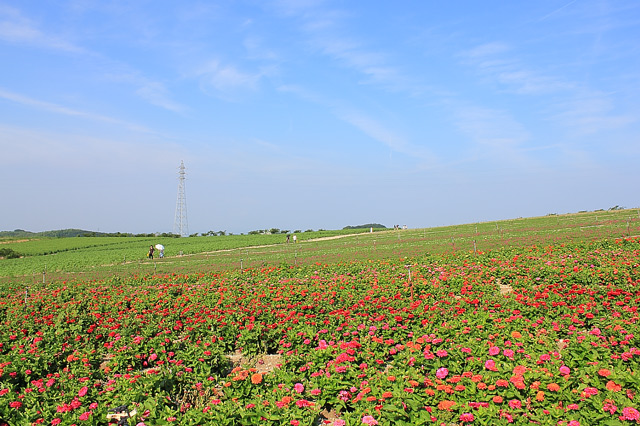 観光農園花広場の開けた景観