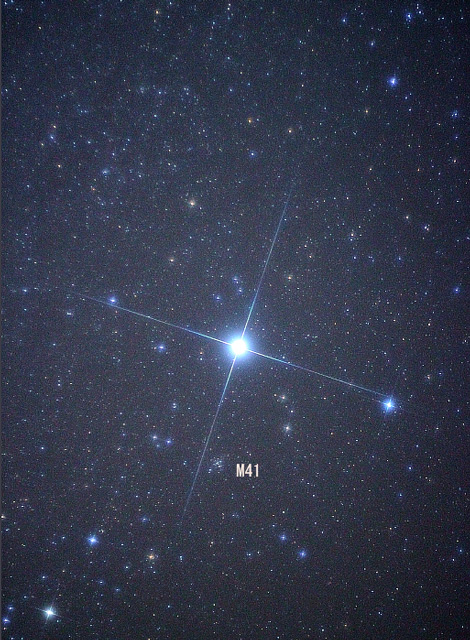 シリウスとM41