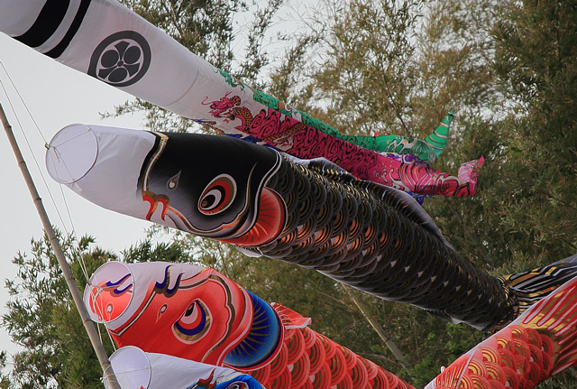 上げ馬神事の鯉のぼり