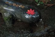 じゃんじゃの水