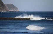 河津川下流に向かって歩くと海に出ます