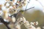 佐布里緑と花のふれあい公園