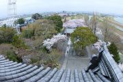 天守閣展望台からの眺望（白鬚神社、瑞穂市方面）