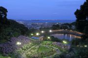 紫陽花と三河湾の夜景