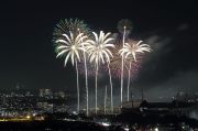 椰子の木が次々と生えてくるような花火