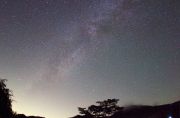 スターフォレスト御園の星空