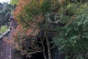 紅葉と5号トンネルの裏側