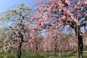 名古屋市農業センター