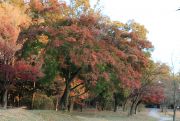 愛知森林公園