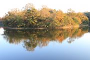 池の水面に映る紅葉