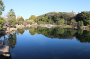 徳川園の龍仙湖