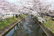 ちょうねん橋