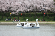 天王川公園