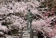 ヨハネスデレーケの銅像と桜