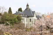 聖ザビエル天主堂と桜