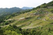 丸山千枚田 県道脇展望所