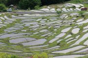 丸山千枚田展望休憩所からの見晴