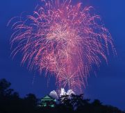 岡崎城と花火