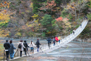 夢のつり橋