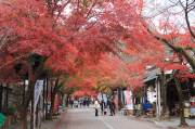 谷汲山華厳寺