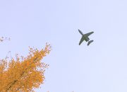 航空祭の展示飛行とイチョウの木