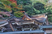 大矢田神社もみじ谷