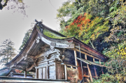 大矢田神社の紅葉