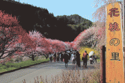 花桃の里遊歩道