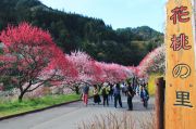 花桃の里遊歩道