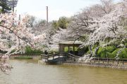 亀城公園