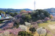 幸田文化公園