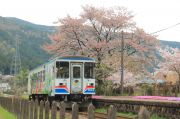 深戸駅とナガラ503「GJ8マン」と桜
