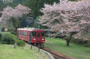 湯の洞温泉口駅とナガラ307と桜