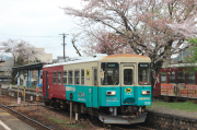 桜とナガラ300形(305号・ヤマト運輸 貨客混載)