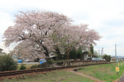 加茂野駅