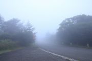 霧に包まれた青山高原道路