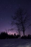 ひるがの高原の星空