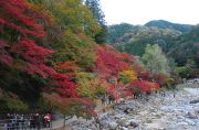 香嵐渓の秋