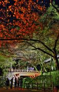 横蔵寺の紅葉を見に来た人々